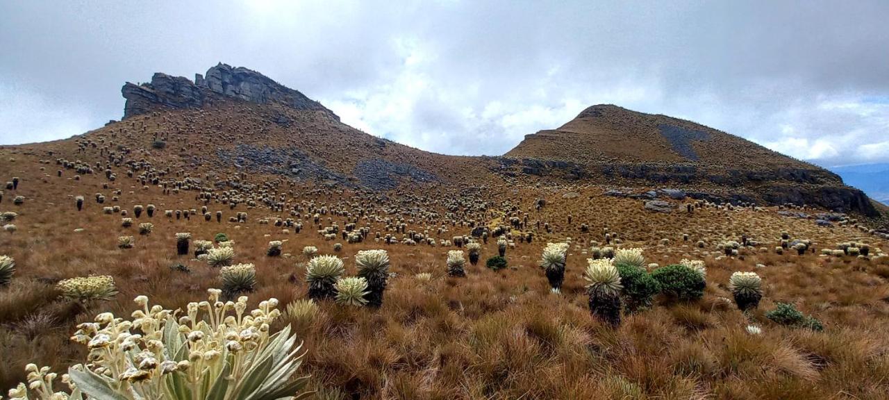 Hospedaje Y Camping Del Rio Monguí Exteriér fotografie
